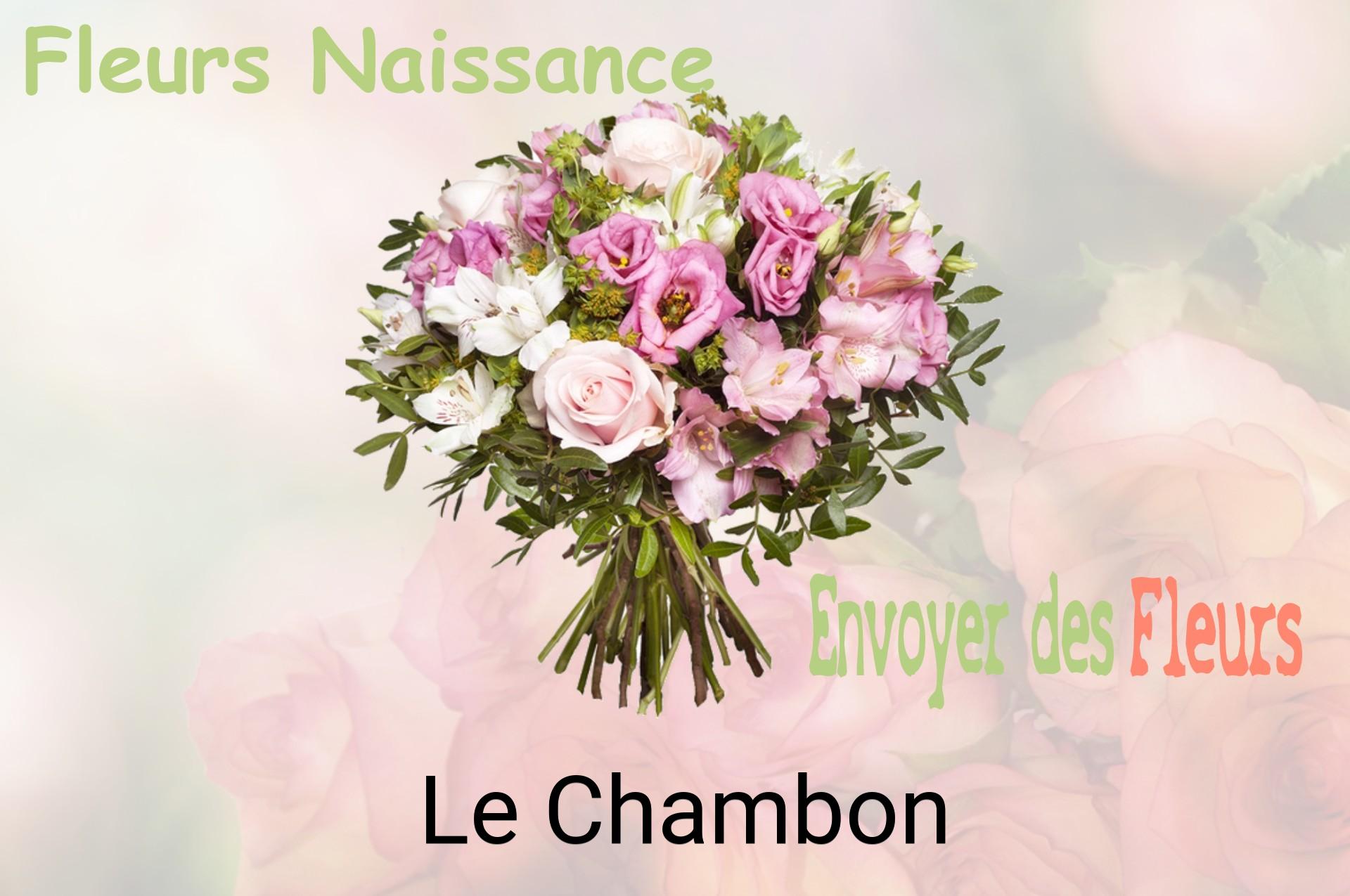 Bouquet de fleurs de naissance livré à Le Chambon